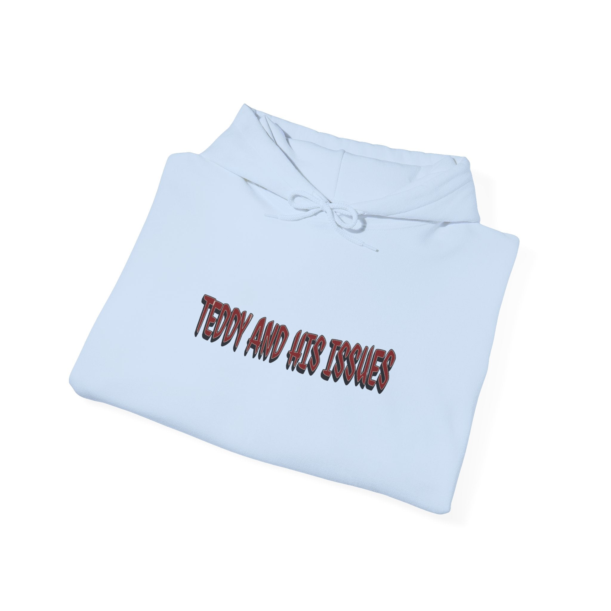 "TEDDY AND HIS ISSUES"      hoodie