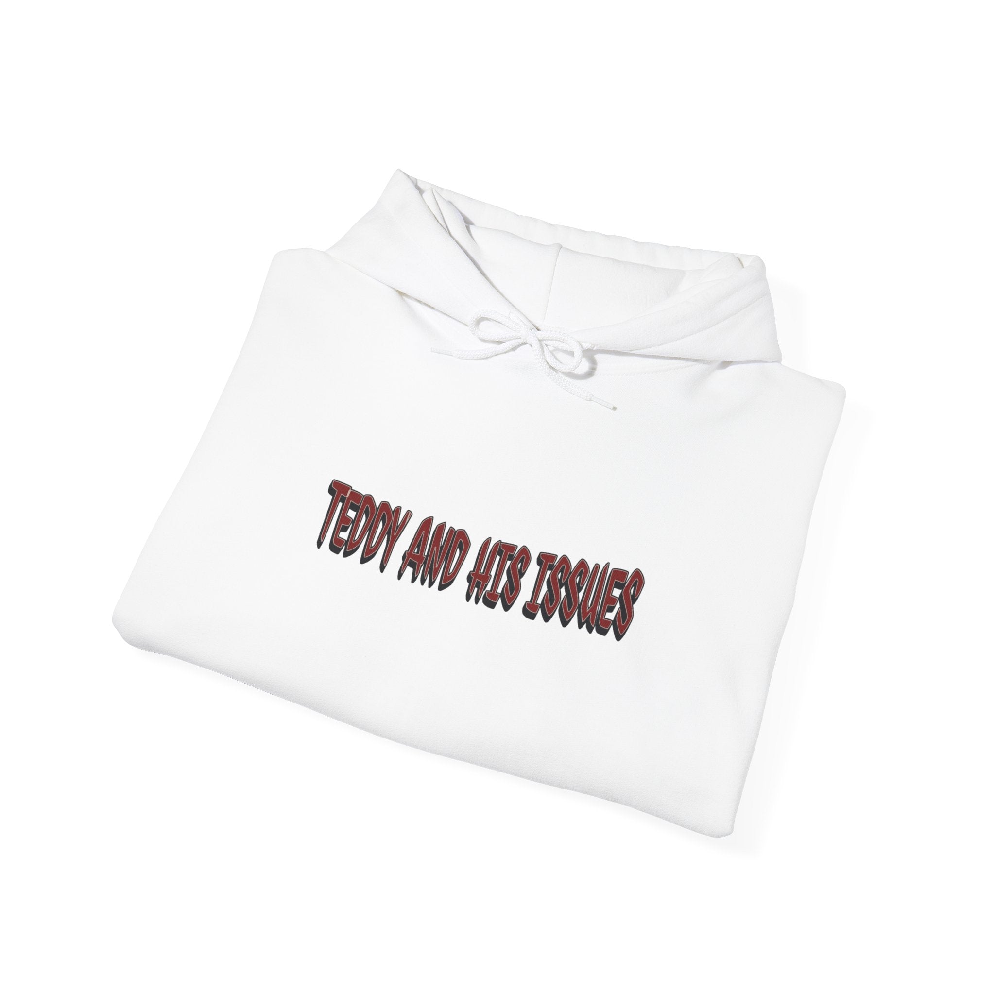 "TEDDY AND HIS ISSUES"      hoodie